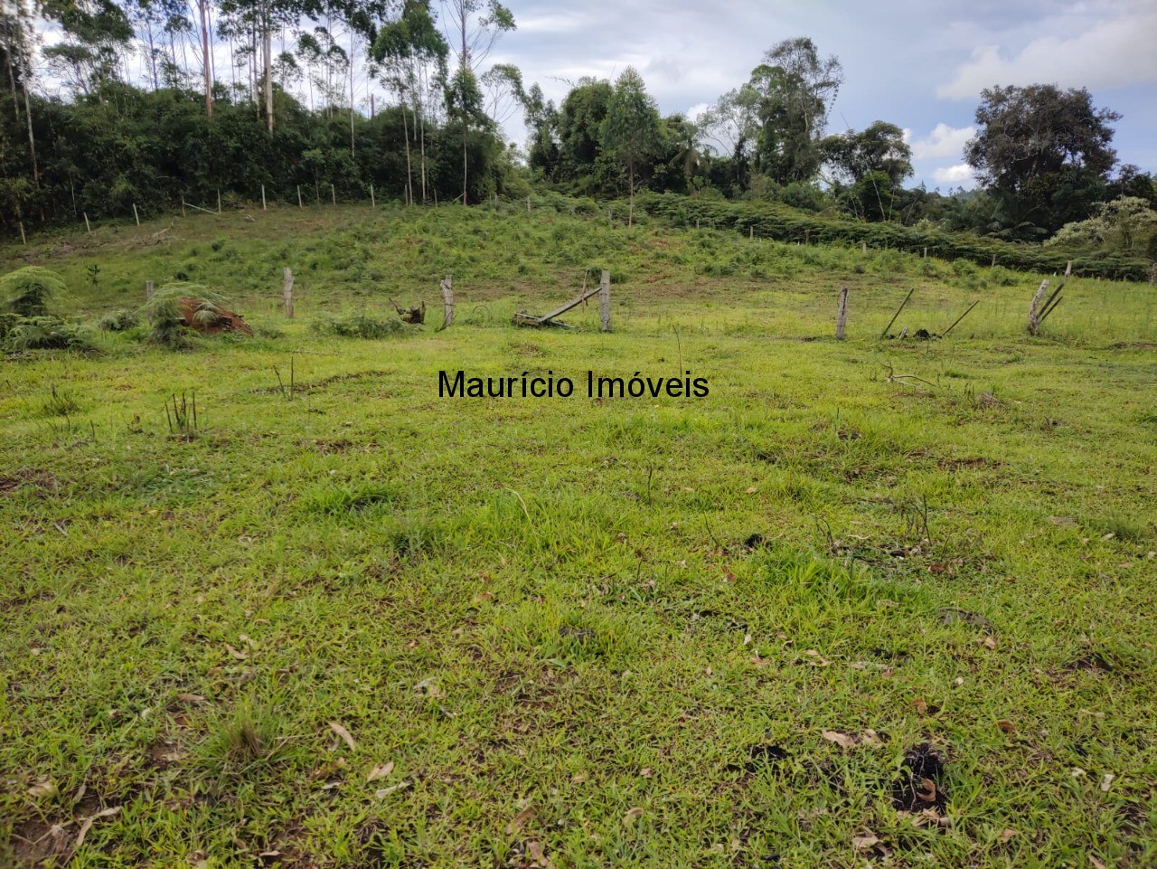 Fazenda à venda com 1 quarto, 4m² - Foto 8