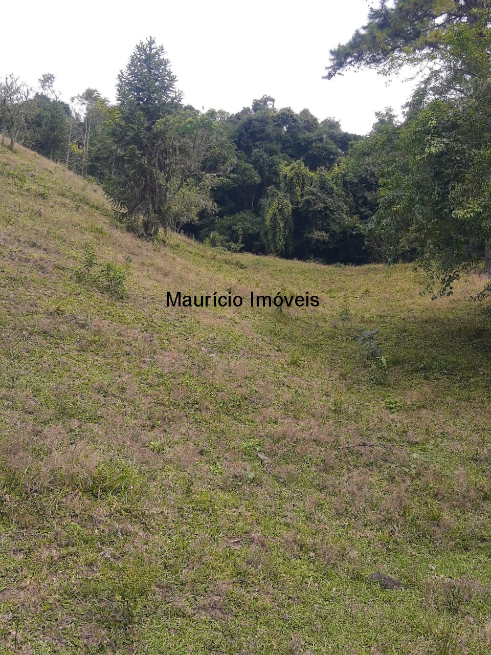 Fazenda à venda com 1 quarto, 23m² - Foto 5