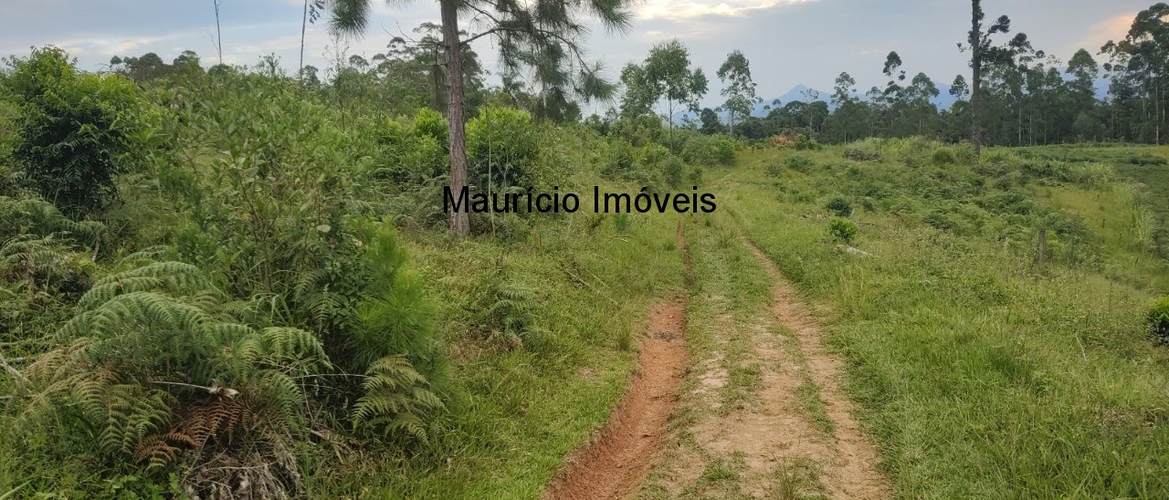 Fazenda à venda com 1 quarto, 13m² - Foto 4