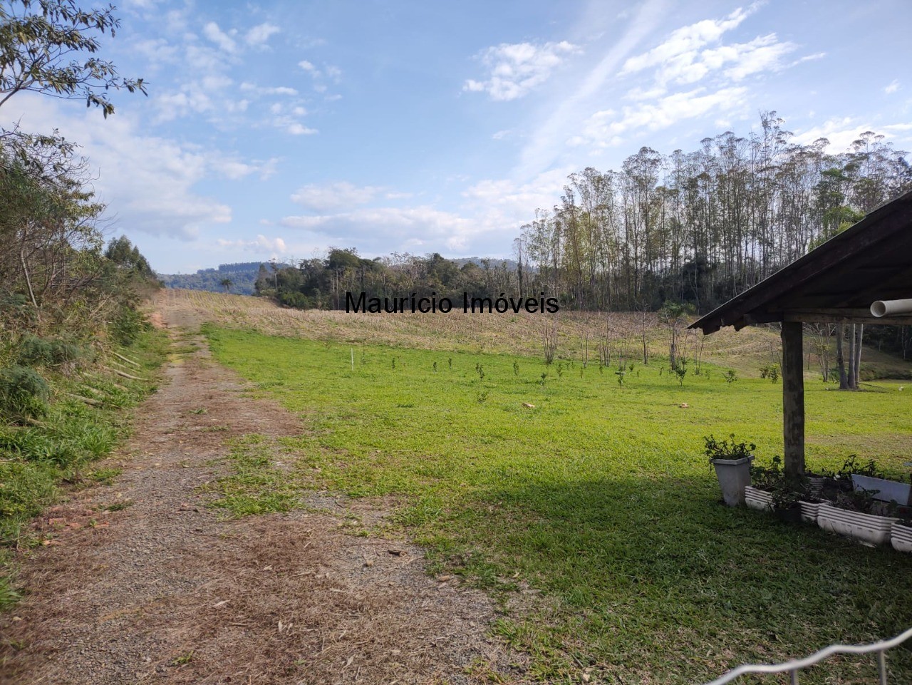 Terreno à venda, 30000m² - Foto 1