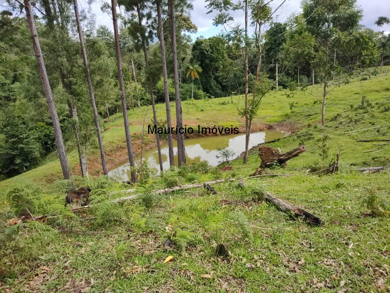 Fazenda à venda com 1 quarto, 4m² - Foto 12