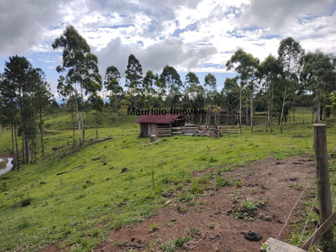 Fazenda à venda com 1 quarto, 4m² - Foto 14