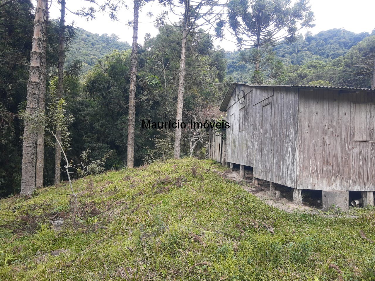 Fazenda à venda com 1 quarto, 23m² - Foto 10