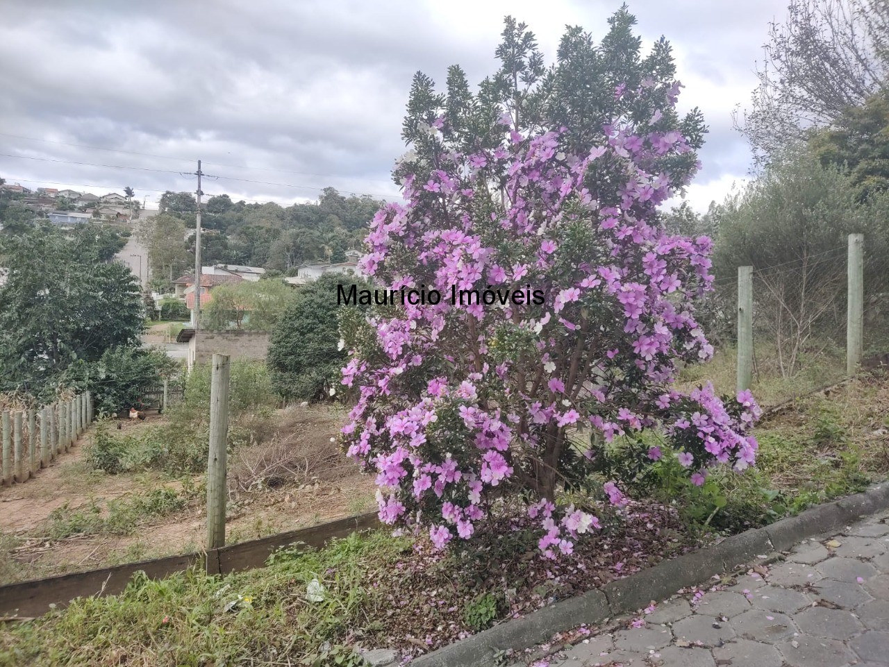 Terreno à venda, 1245m² - Foto 15