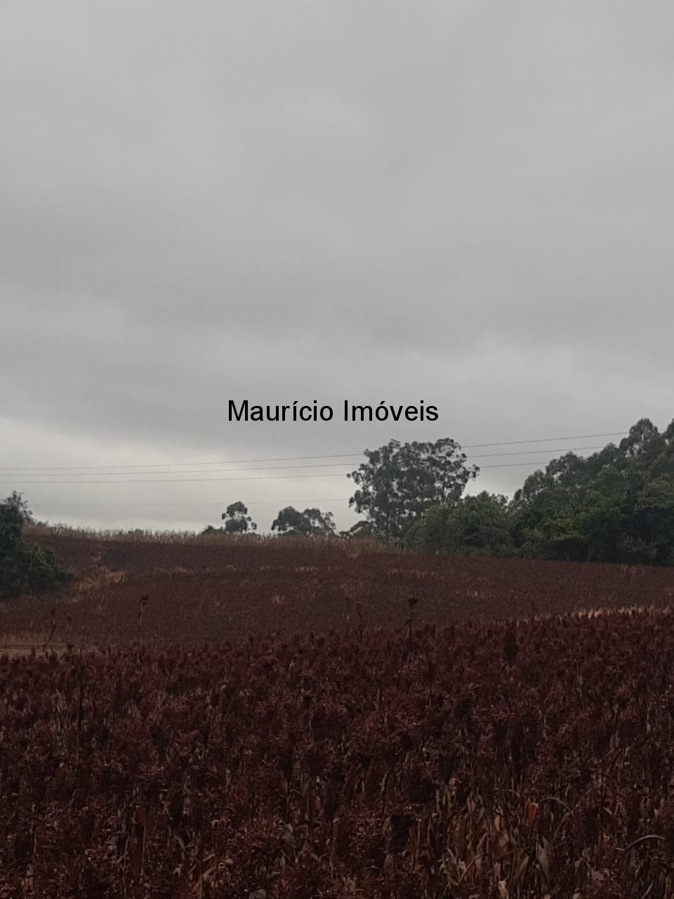 Fazenda à venda com 1 quarto, 5m² - Foto 7