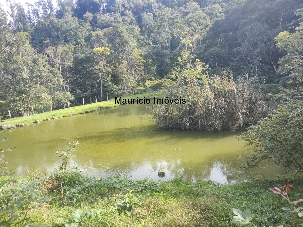 Fazenda à venda com 2 quartos, 18m² - Foto 37