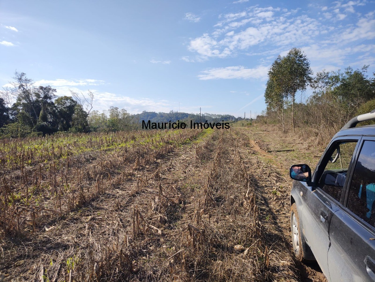 Terreno à venda, 30000m² - Foto 15