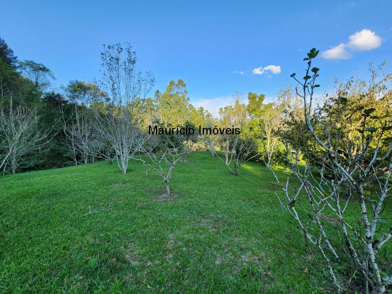 Fazenda à venda com 2 quartos, 18m² - Foto 16