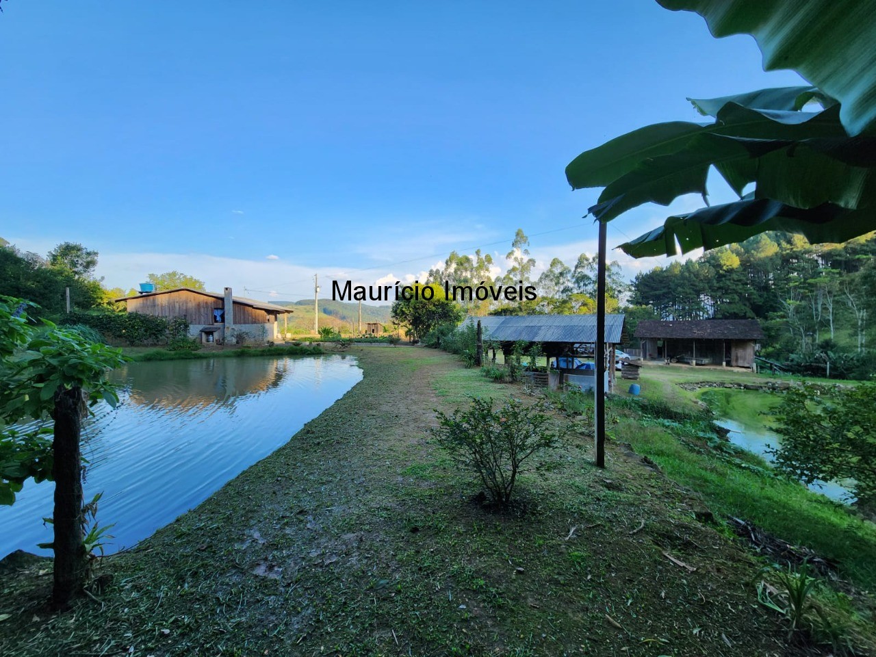 Fazenda à venda com 2 quartos, 18m² - Foto 5