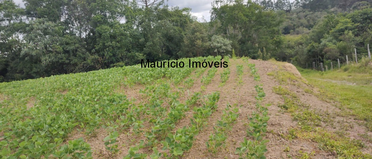 Fazenda à venda com 1 quarto, 31m² - Foto 6