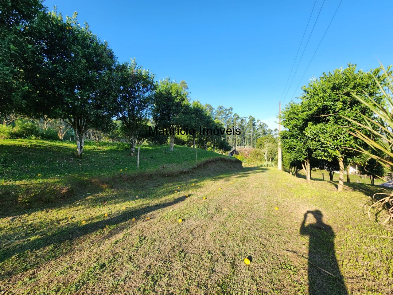 Fazenda à venda com 2 quartos, 18m² - Foto 11