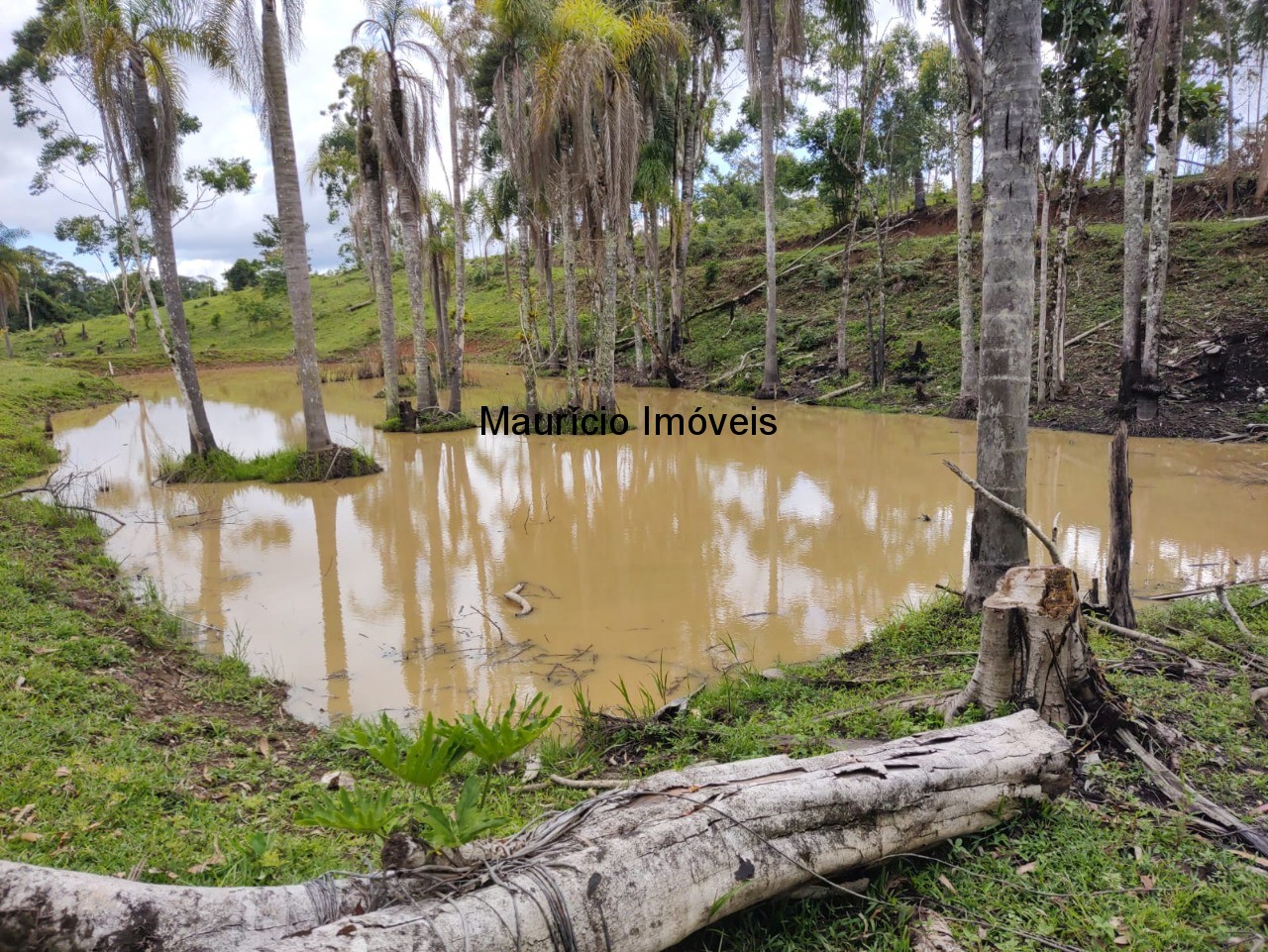 Fazenda à venda com 1 quarto, 4m² - Foto 1