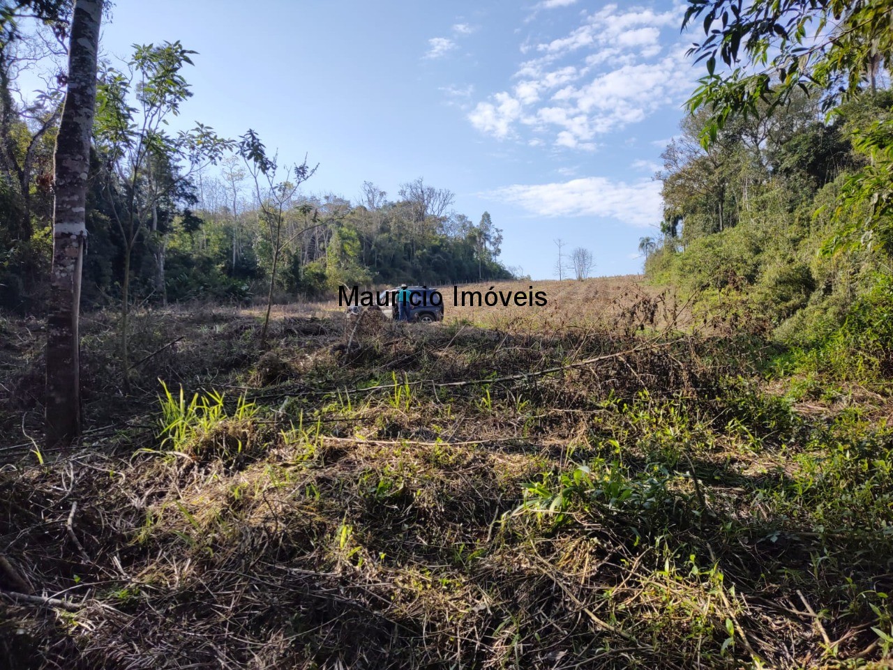 Terreno à venda, 30000m² - Foto 17