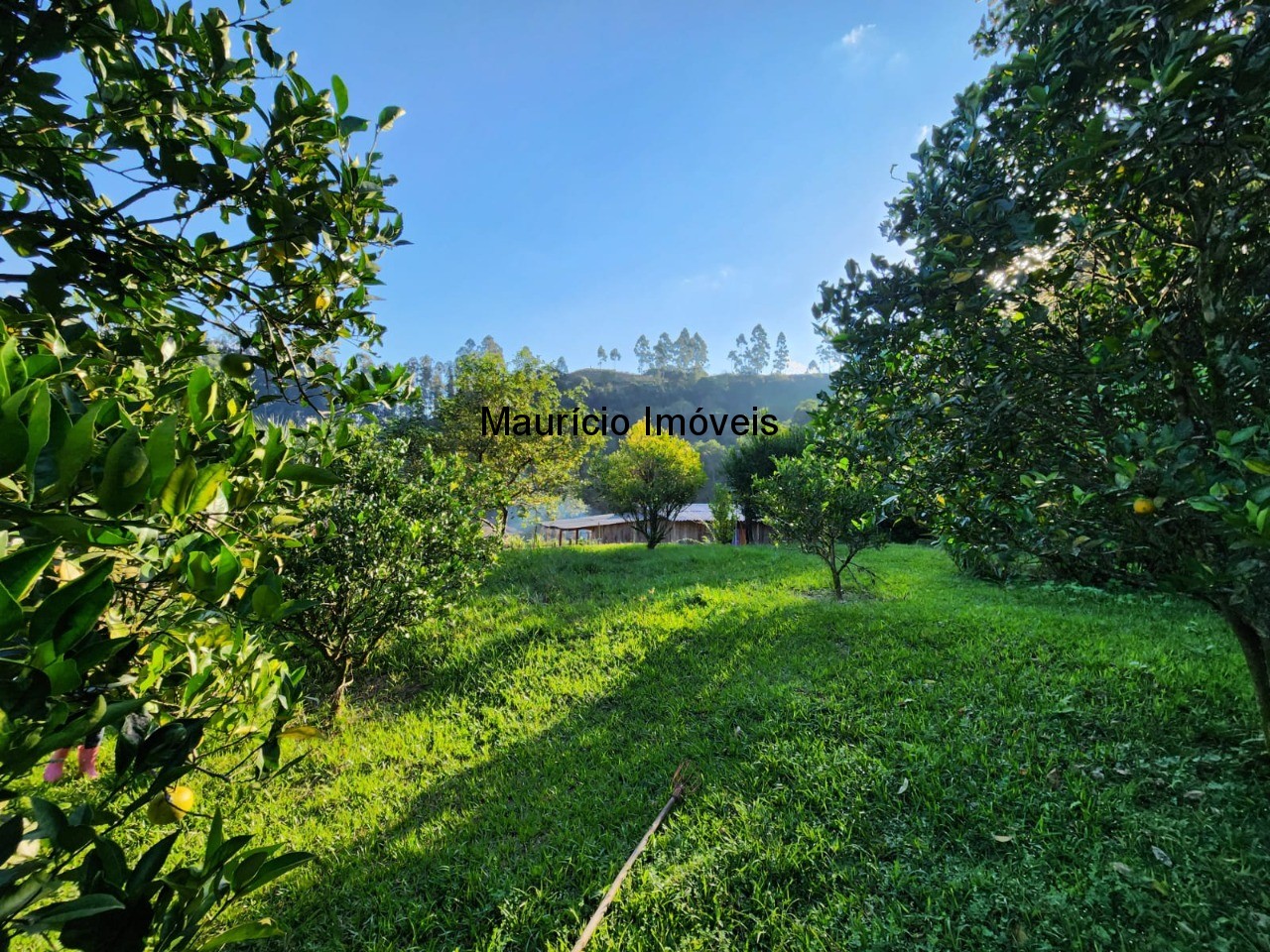 Fazenda à venda com 2 quartos, 18m² - Foto 19