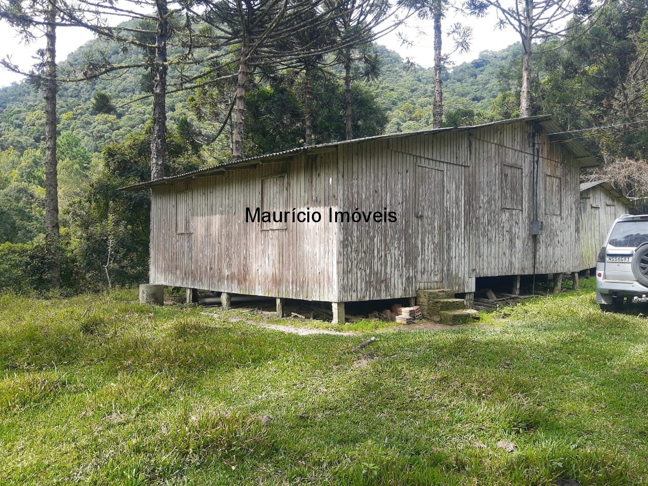 Fazenda à venda com 1 quarto, 23m² - Foto 14