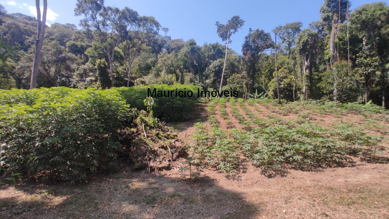 Fazenda à venda com 2 quartos, 18m² - Foto 26