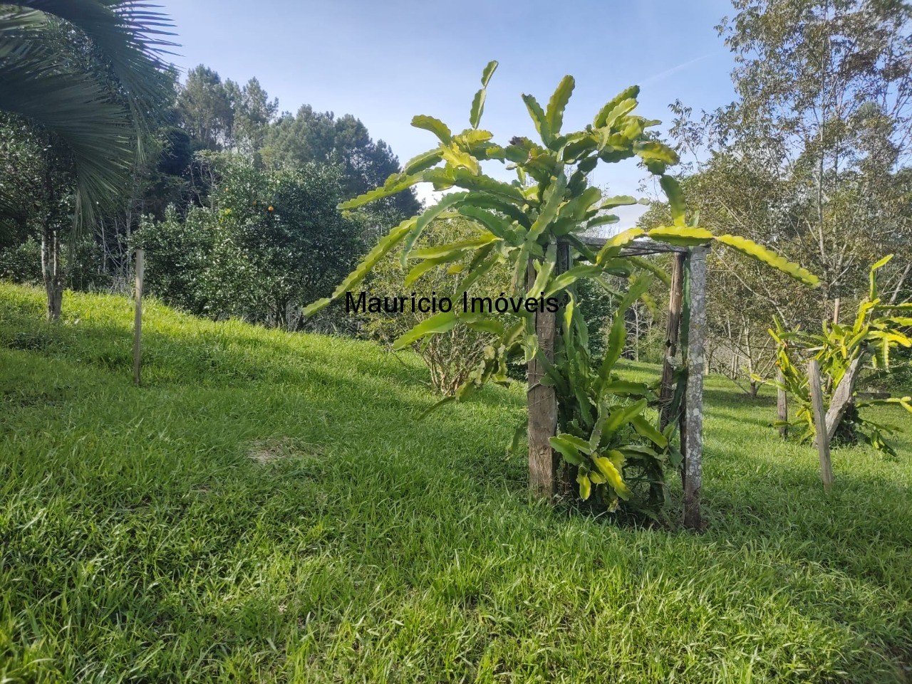 Fazenda à venda com 2 quartos, 18m² - Foto 38