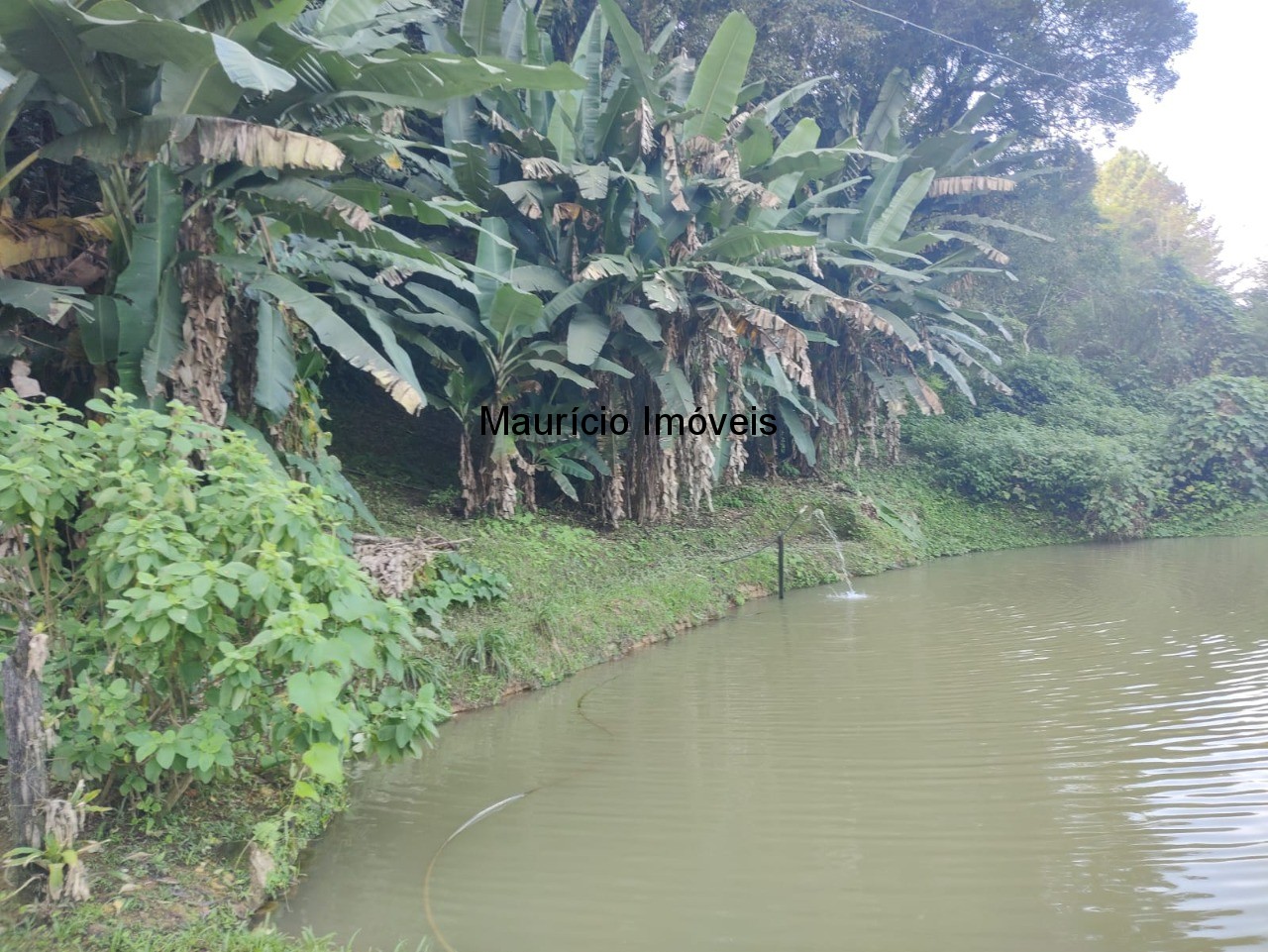 Fazenda à venda com 2 quartos, 18m² - Foto 40