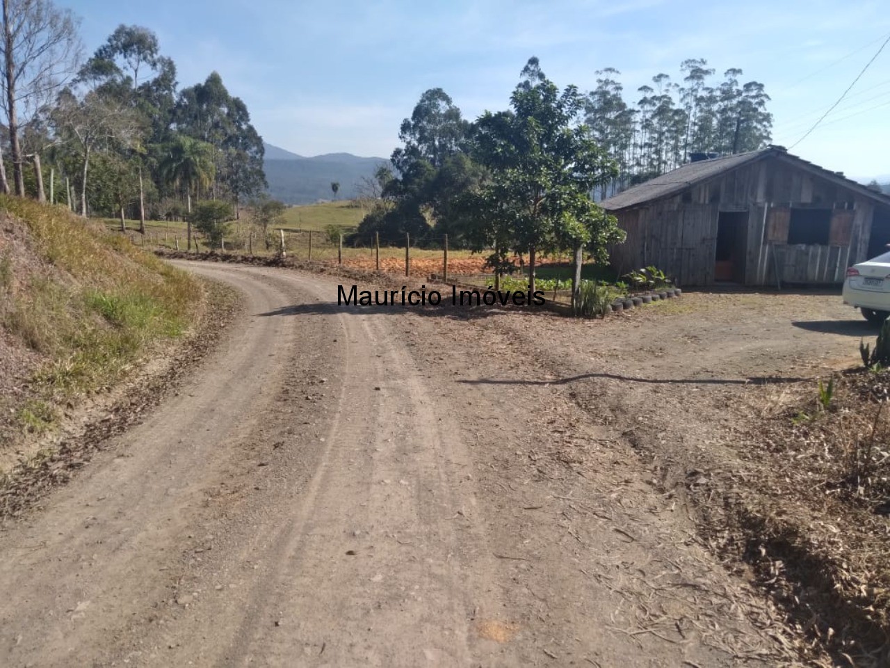 Fazenda à venda com 2 quartos, 30000m² - Foto 4