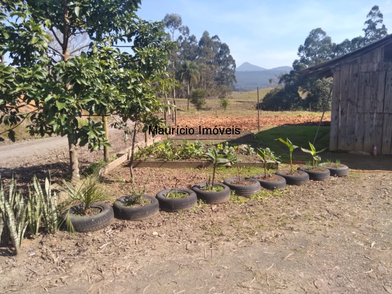 Fazenda à venda com 2 quartos, 30000m² - Foto 6