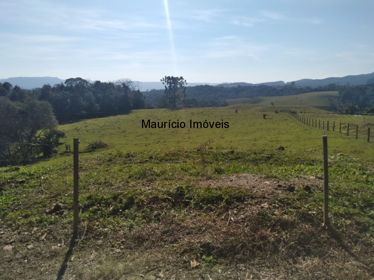 Fazenda à venda com 2 quartos, 30000m² - Foto 14