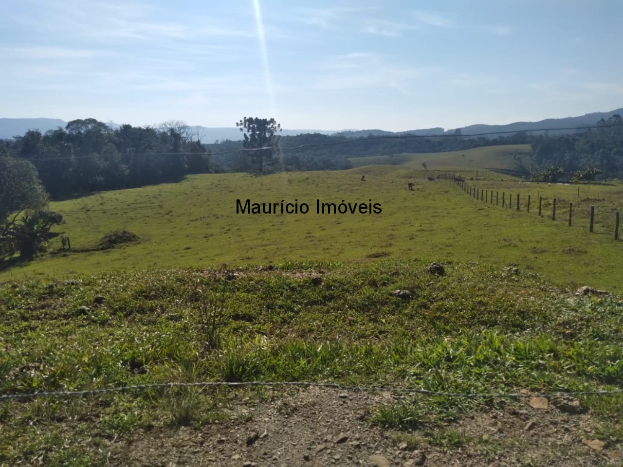 Fazenda à venda com 2 quartos, 30000m² - Foto 10