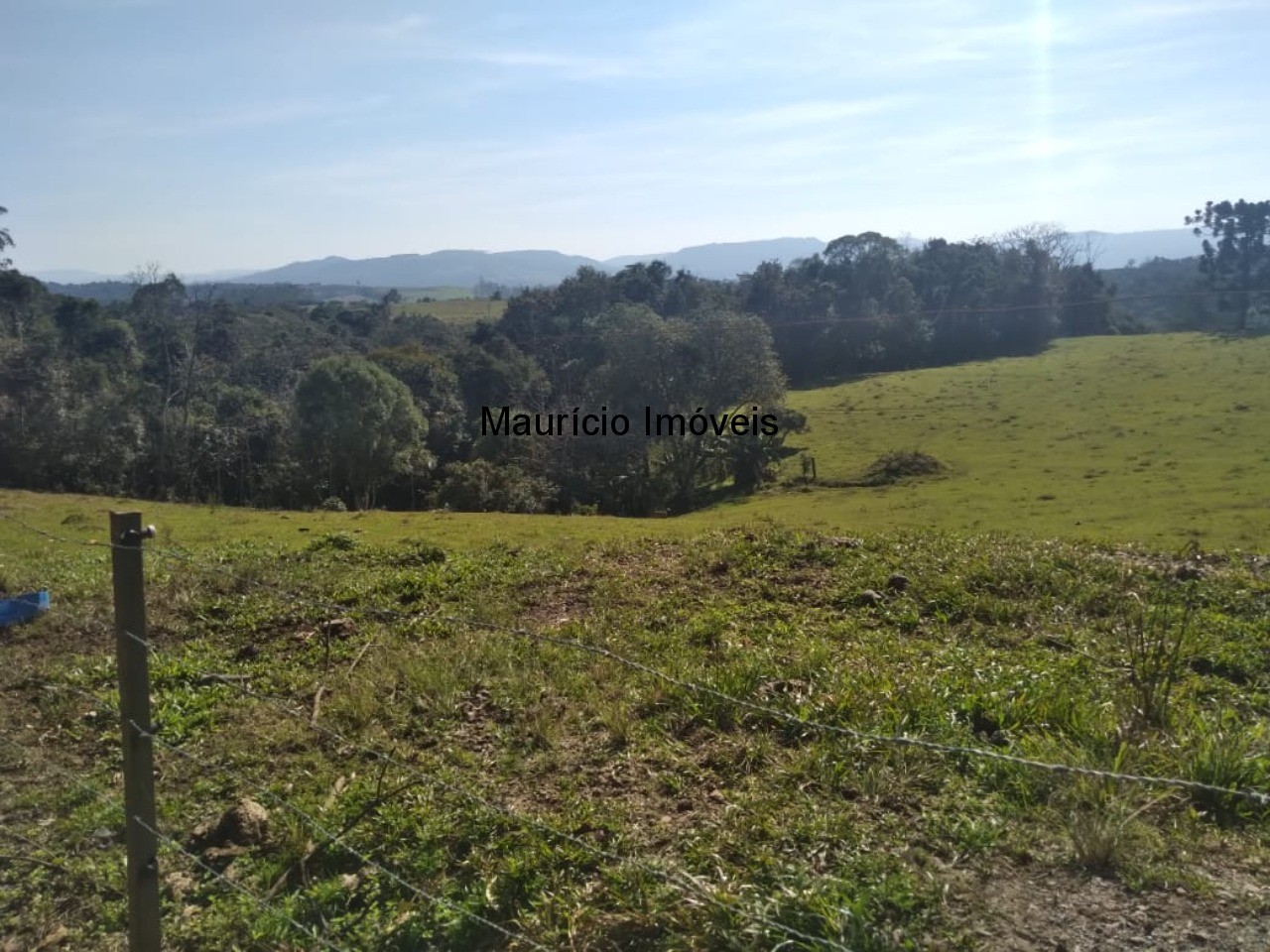 Fazenda à venda com 2 quartos, 30000m² - Foto 12