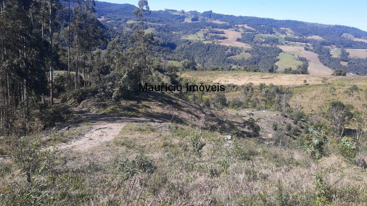 Fazenda à venda com 1 quarto, 20000m² - Foto 1