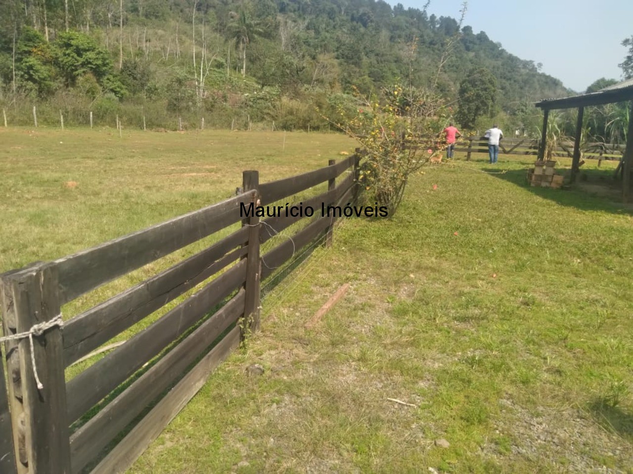 Chácara à venda com 5 quartos, 10000m² - Foto 45