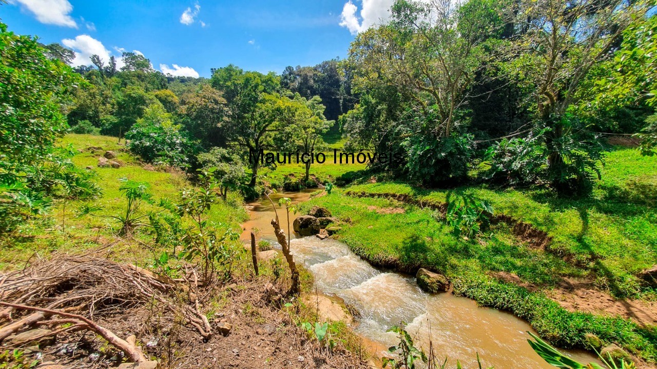 Fazenda à venda com 4 quartos, 20m² - Foto 4