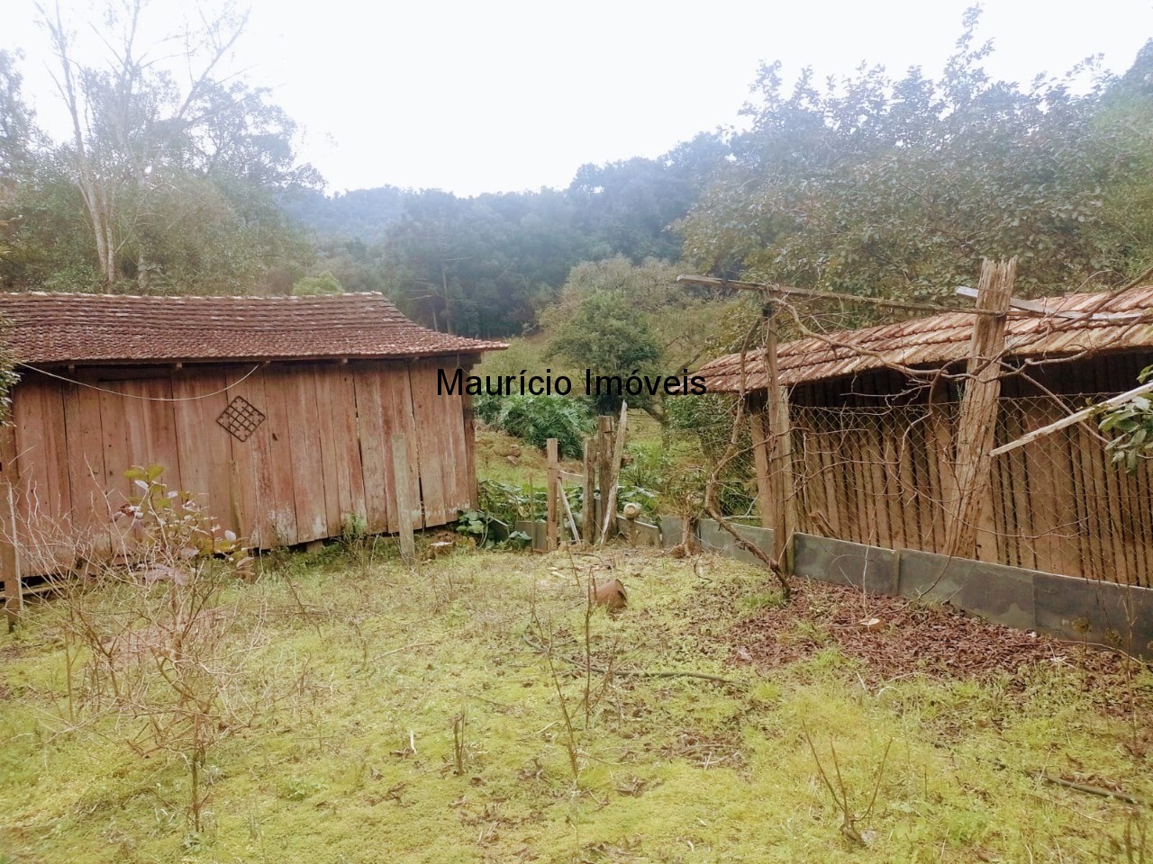 Fazenda à venda com 4 quartos, 20m² - Foto 90