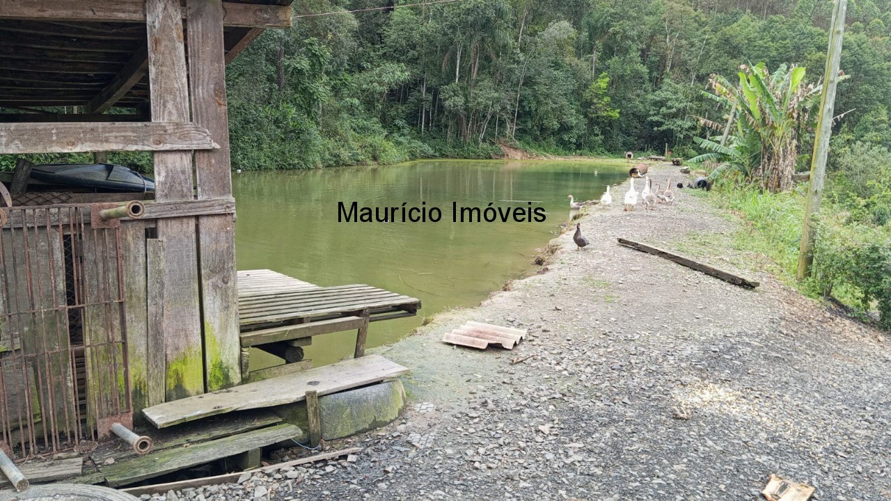 Fazenda à venda com 3 quartos, 3000m² - Foto 9