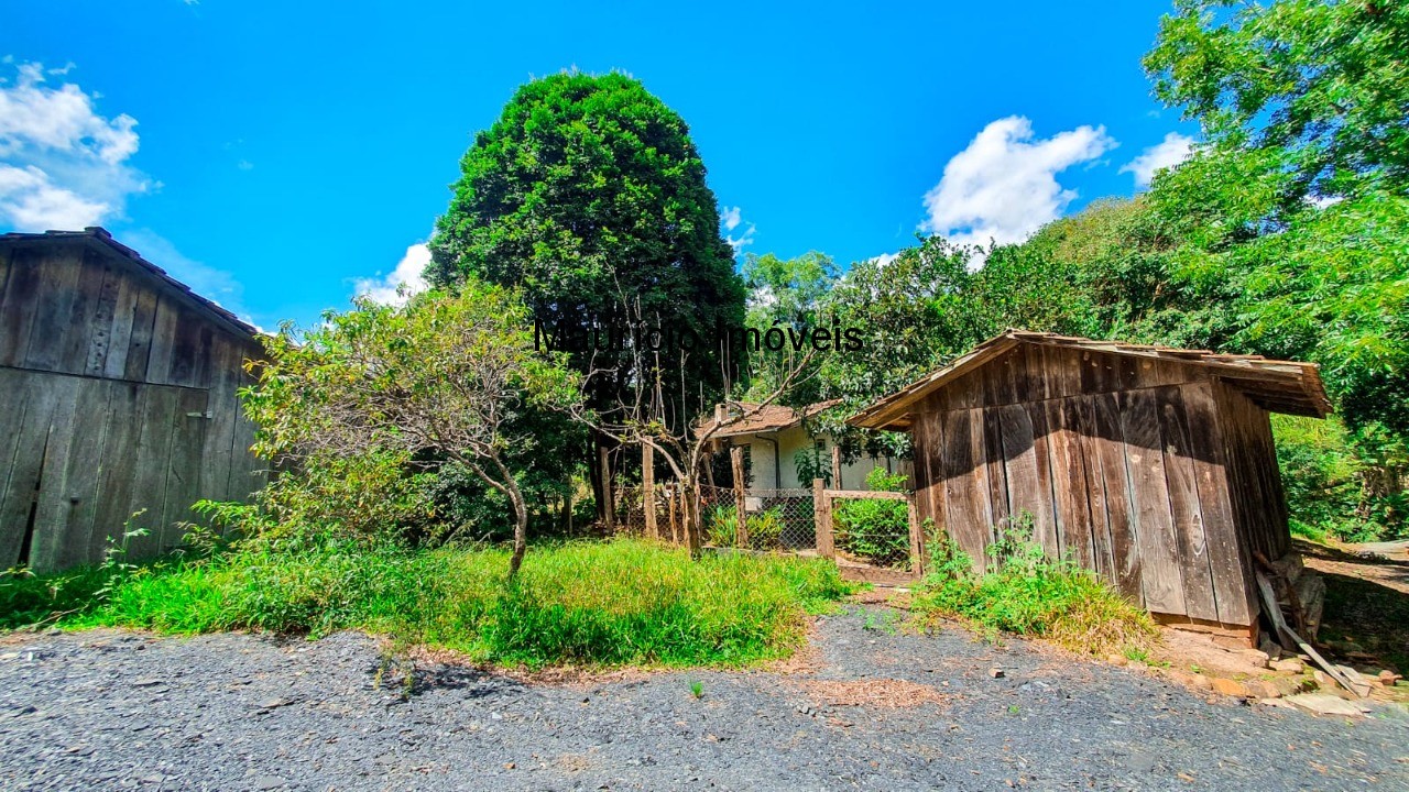 Fazenda à venda com 4 quartos, 20m² - Foto 13