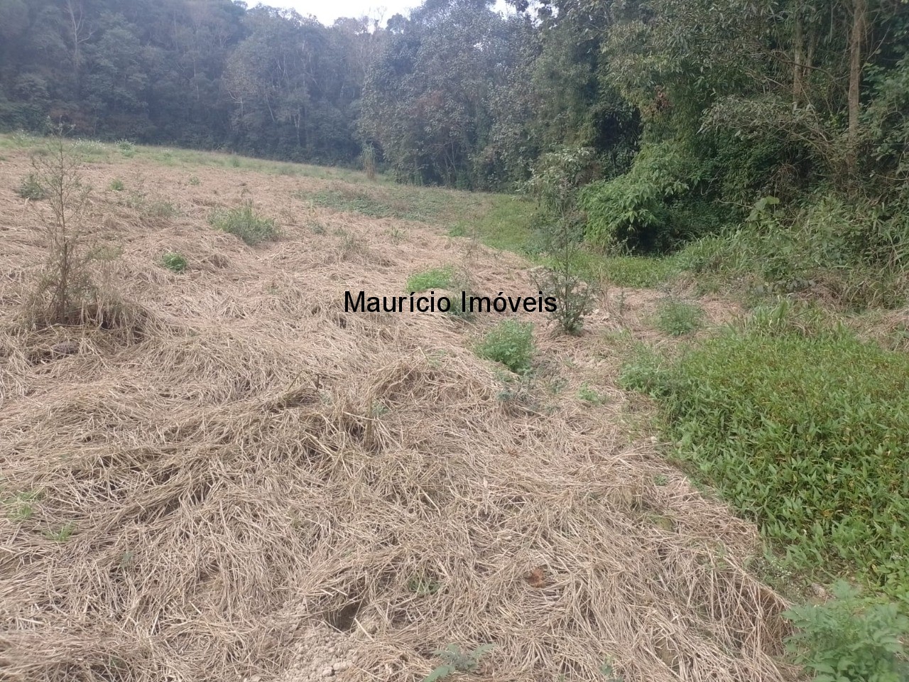 Fazenda à venda com 4 quartos, 20m² - Foto 84