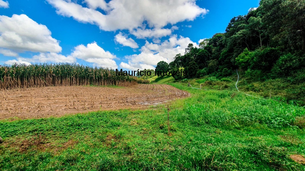 Fazenda à venda com 4 quartos, 20m² - Foto 20