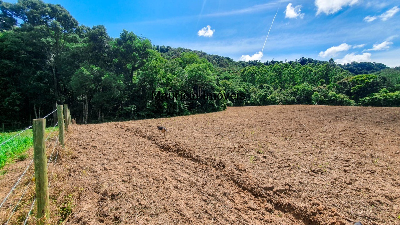 Fazenda à venda com 4 quartos, 20m² - Foto 30