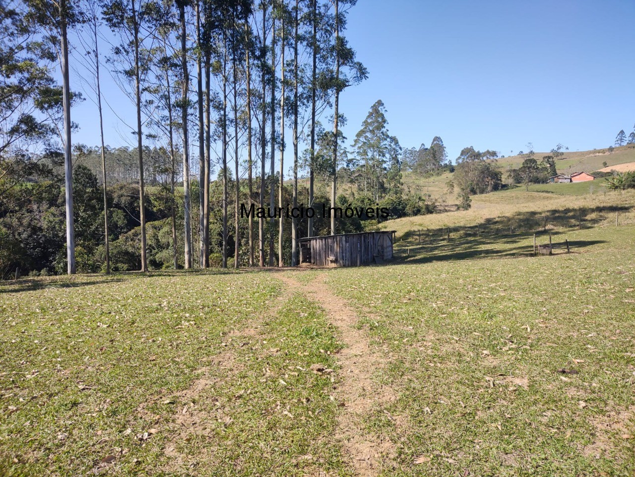 Chácara à venda com 3 quartos, 20000m² - Foto 35