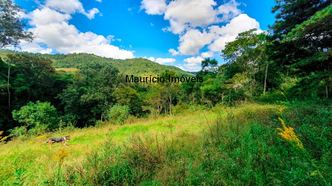 Fazenda à venda com 4 quartos, 20m² - Foto 24