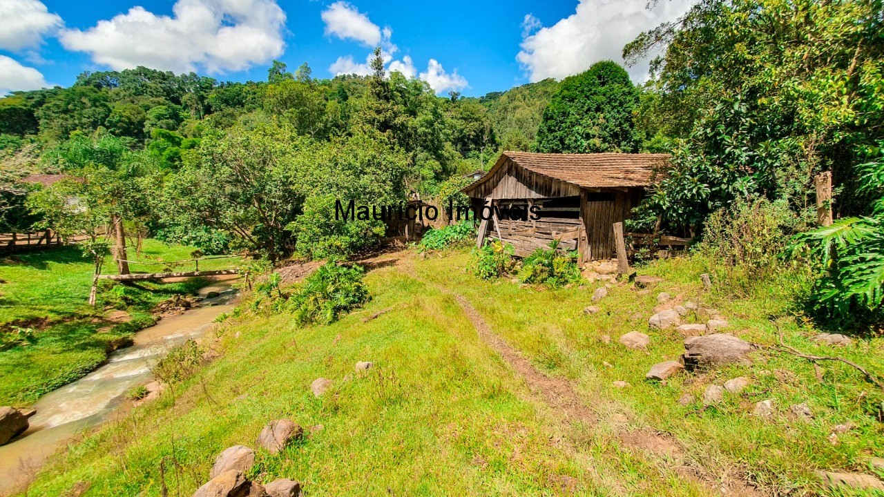 Fazenda à venda com 4 quartos, 20m² - Foto 12