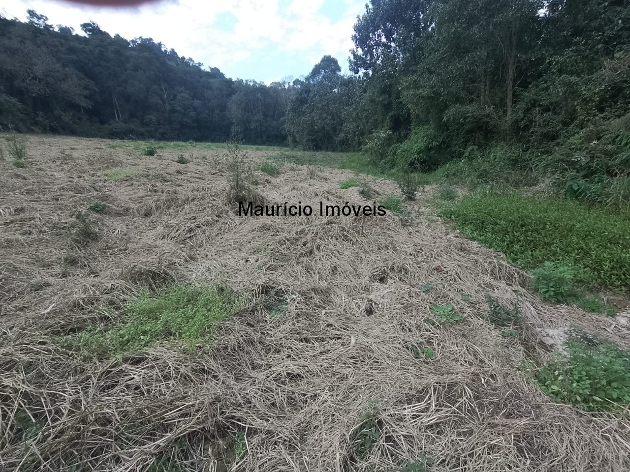 Fazenda à venda com 4 quartos, 20m² - Foto 78