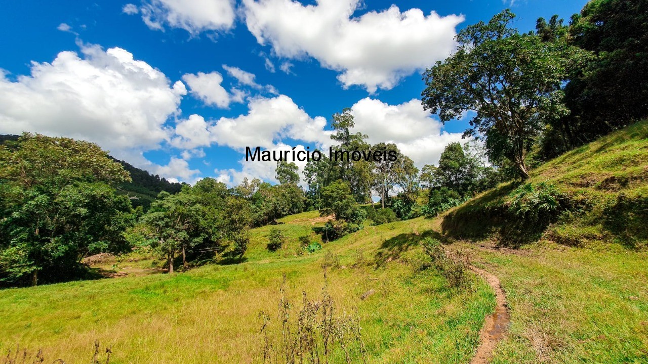 Fazenda à venda com 4 quartos, 20m² - Foto 18