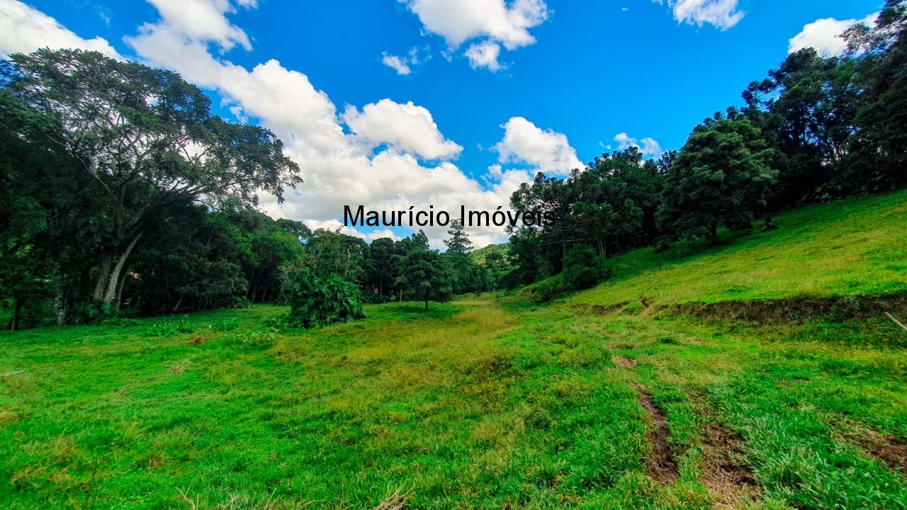 Fazenda à venda com 4 quartos, 20m² - Foto 14