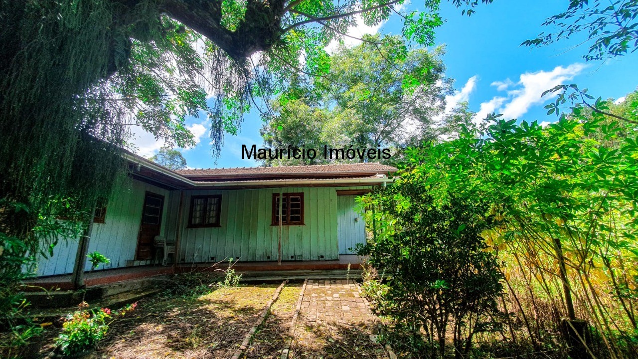 Fazenda à venda com 4 quartos, 20m² - Foto 11