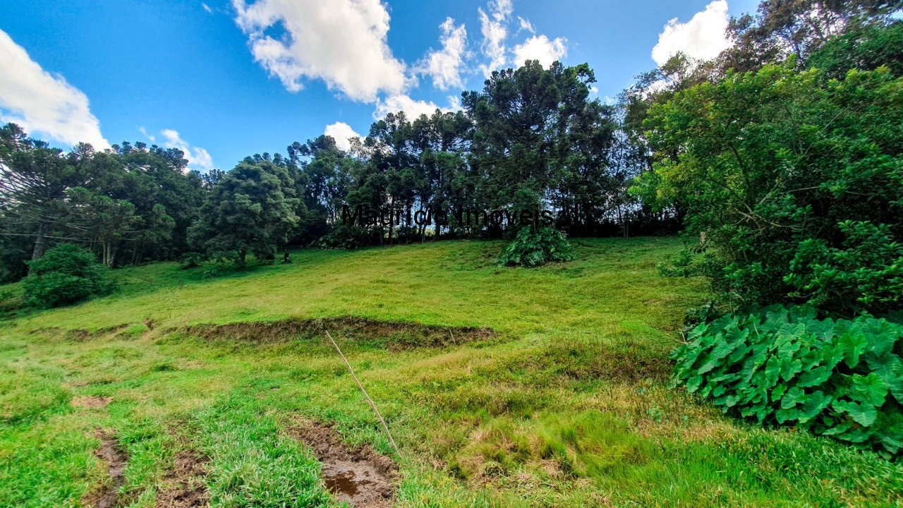 Fazenda à venda com 4 quartos, 20m² - Foto 15