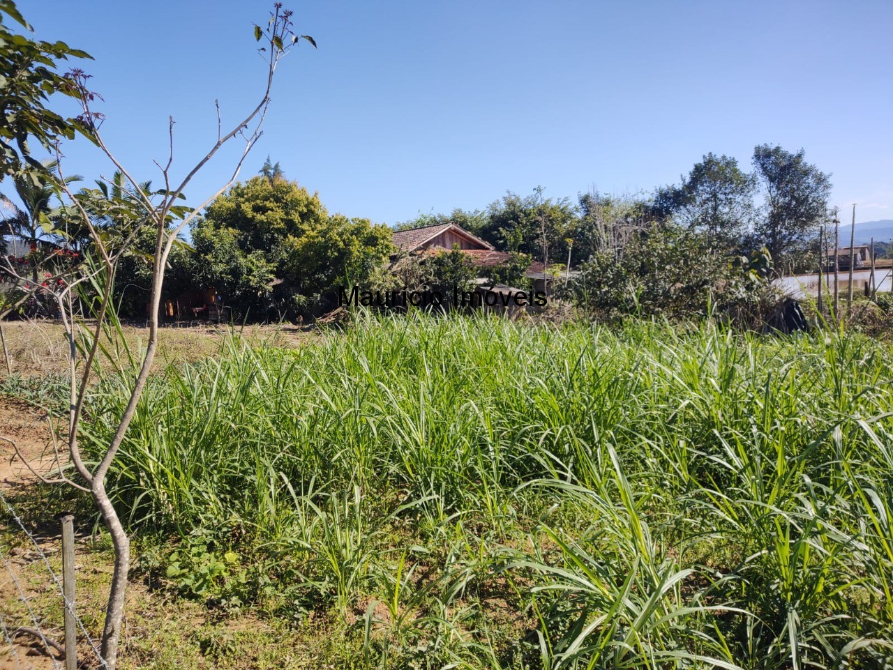 Chácara à venda com 3 quartos, 20000m² - Foto 29