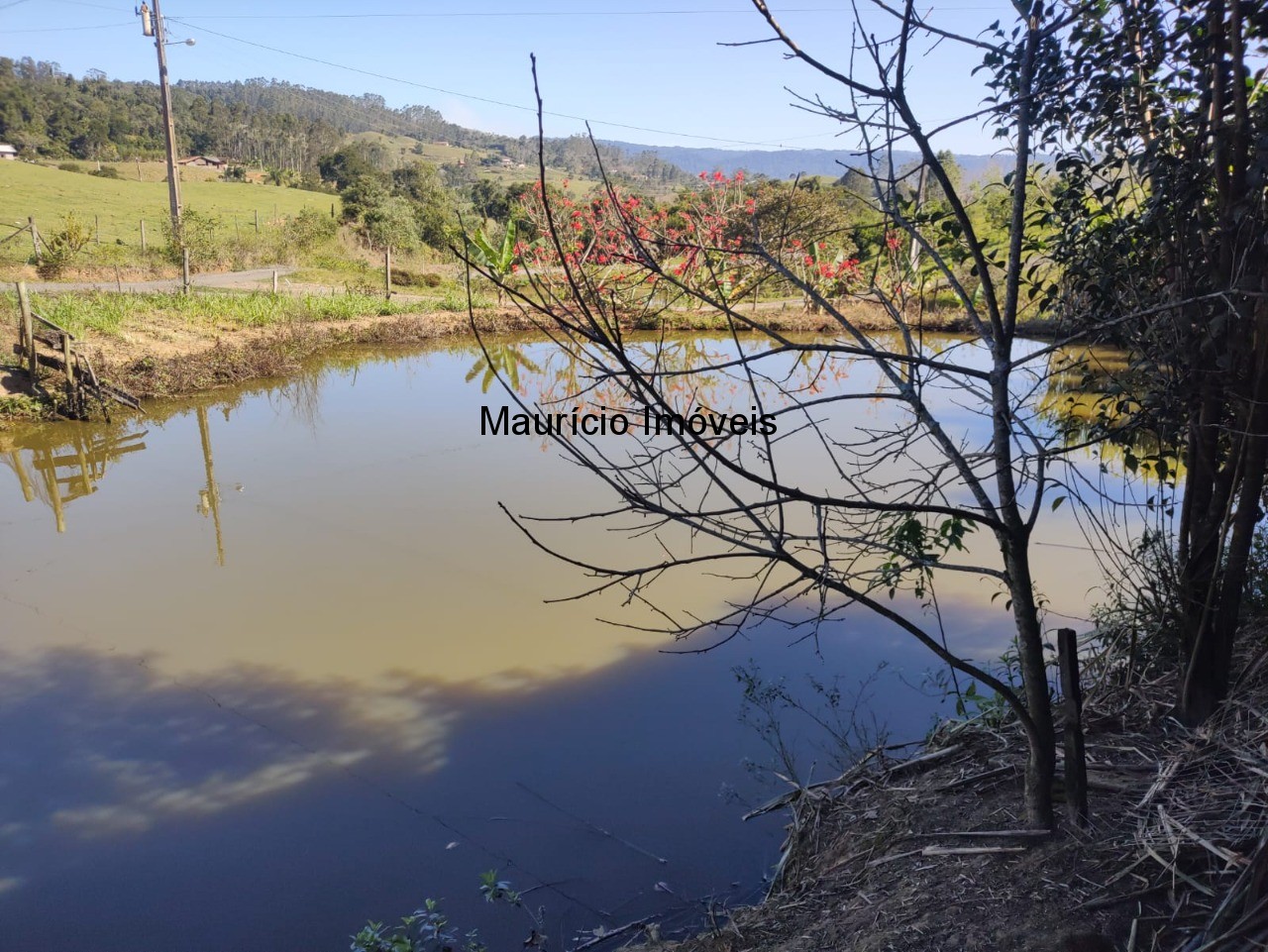 Chácara à venda com 3 quartos, 20000m² - Foto 20