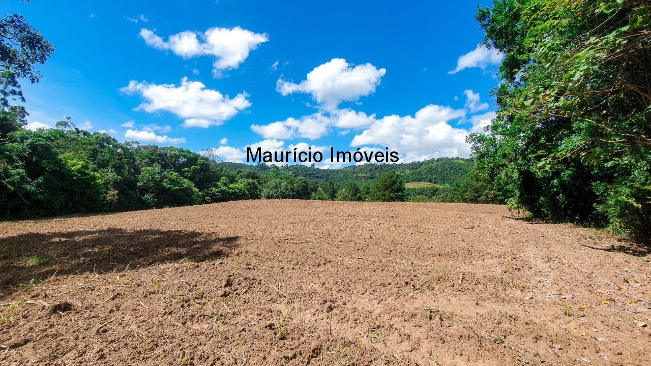 Fazenda à venda com 4 quartos, 20m² - Foto 25