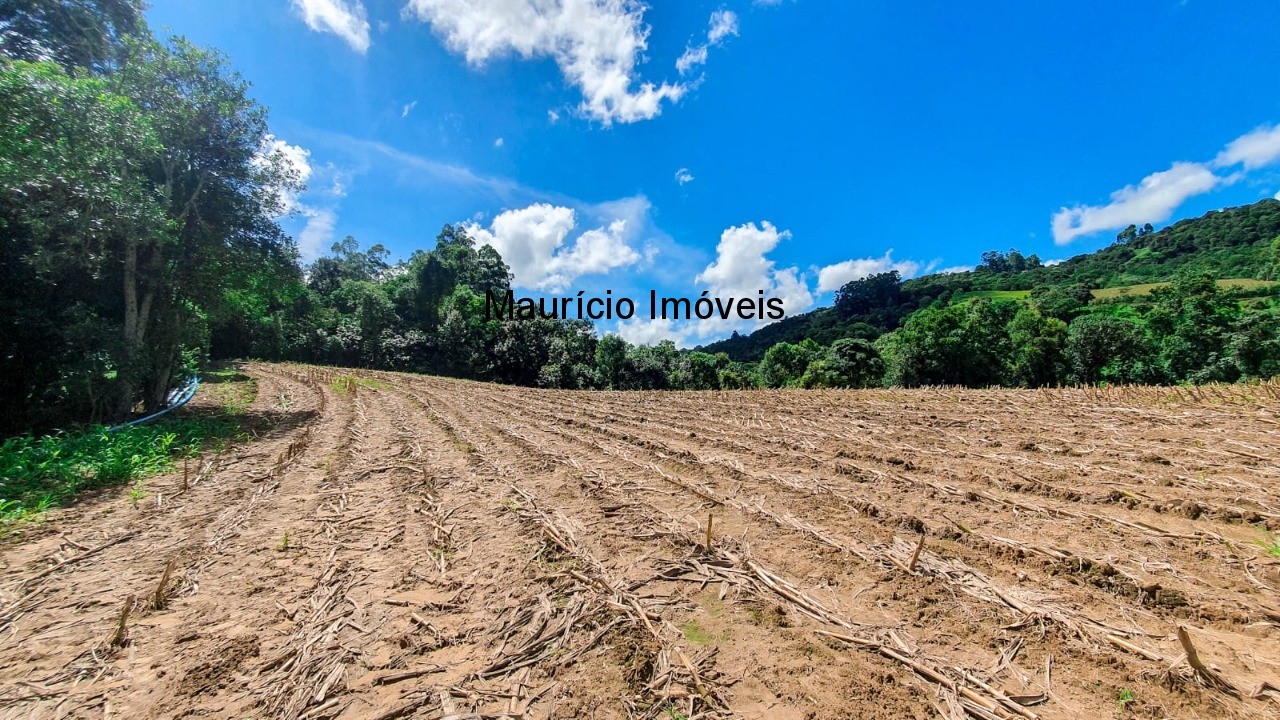 Fazenda à venda com 4 quartos, 20m² - Foto 16