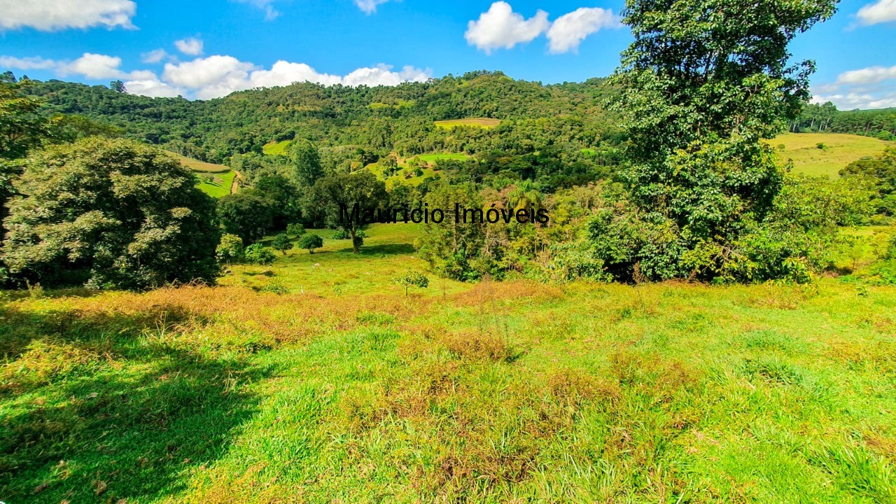 Fazenda à venda com 4 quartos, 20m² - Foto 32