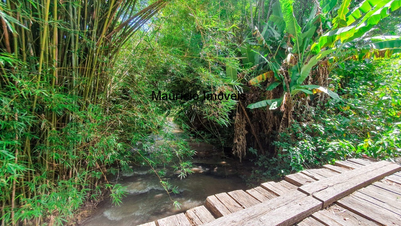 Fazenda à venda com 4 quartos, 20m² - Foto 7